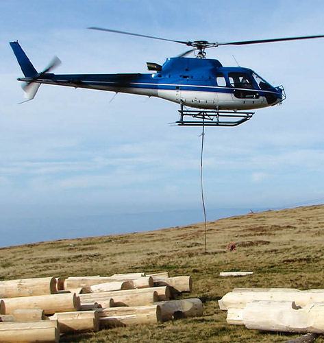 Houston Helicopter Logging